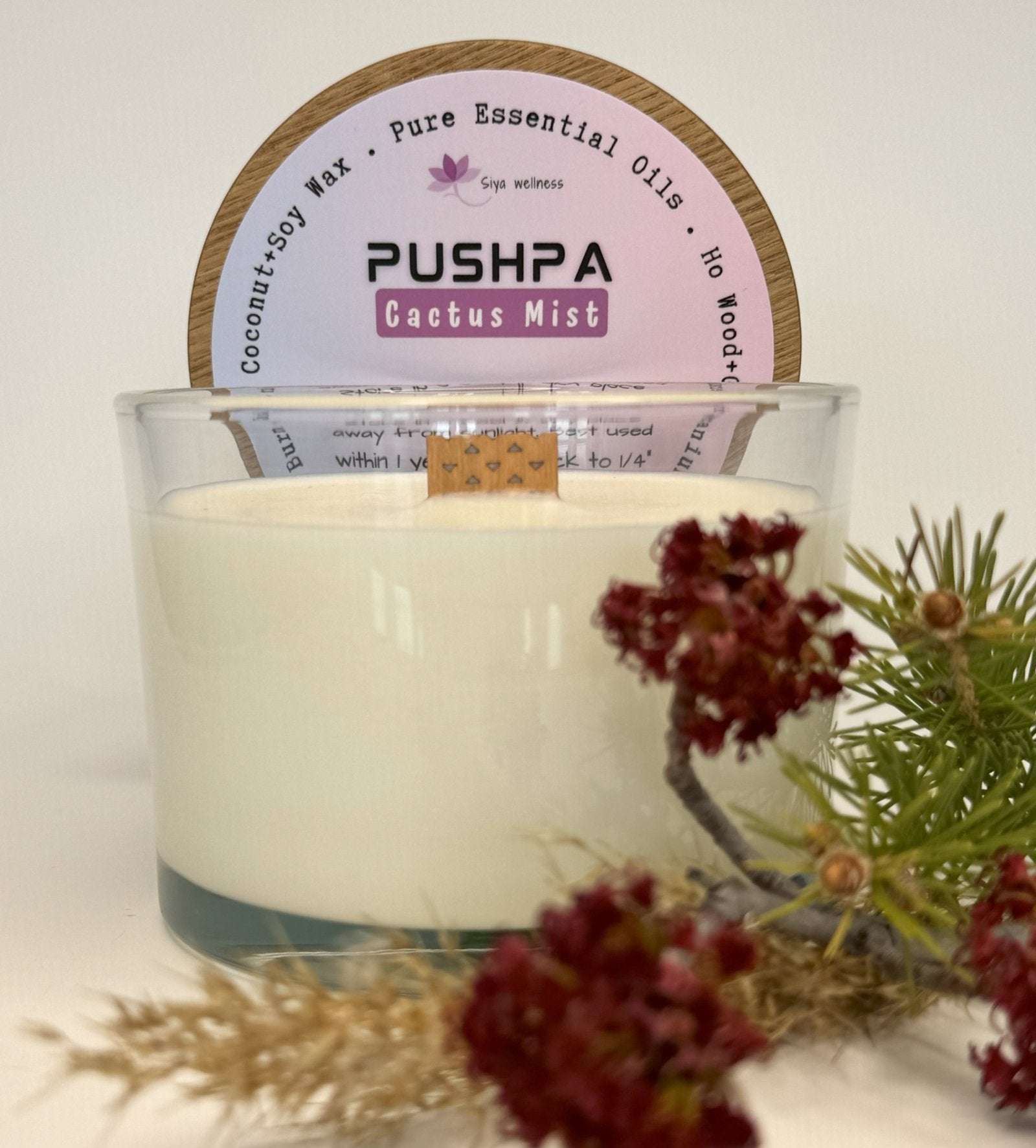 Handcrafted cactus-shaped decor candle from the Pushpa collection by Siya Wellness, infused with aromatherapy oils for a fresh and calming ambiance